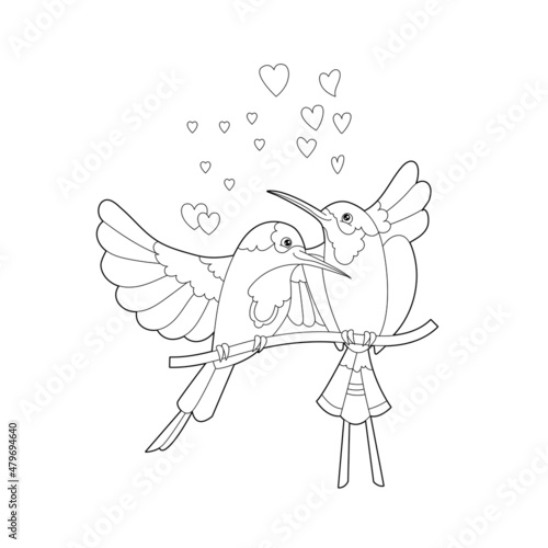 Contour linear illustration for coloring book with two hummingbirds. Beautiful cute couple,  anti stress picture. Line art design for adult or kids  in zen-tangle style, tattoo and coloring page