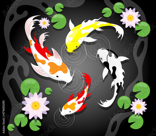 Colorful Koi carps fish and lotus flower illustration