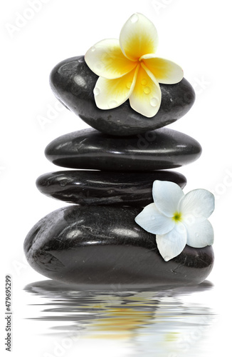 Création nature morte zen, galets noirs superposés et fleurs de frangipanier 
