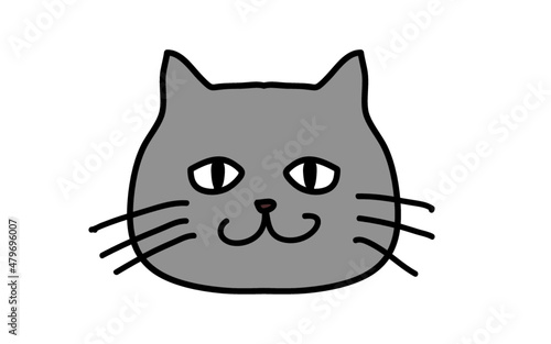 灰色の猫 © Baechi Stock
