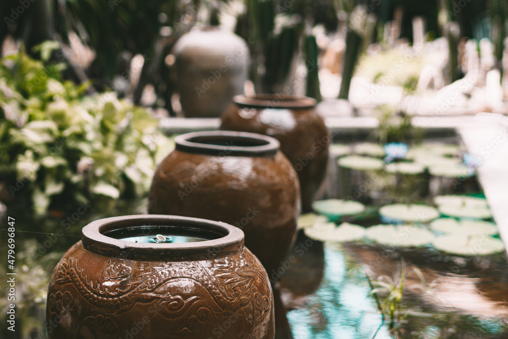 House landscape design. Large dark beige brown retro vintage ceramic decor jugs, water pool lilies green leaves reflect sky. Outdoor tropical plants cactus. Real nature background peace harmony House landscape design. Large dark beige brown retro vintage ceramic decor jugs, water pool lilies green leaves reflect sky. Outdoor tropical plants cactus. Real nature background peace harmony