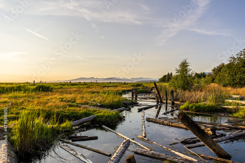 Beautiful landscape of Sturgeon Banks Natural Area wildlife nature reserve near Richmond British Columbia