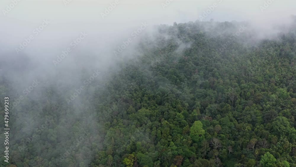 aerial view, rich forest with dense trees Tropical rainforest in northern Thailand aerial view, rich forest with dense trees Tropical rainforest in northern Thailand