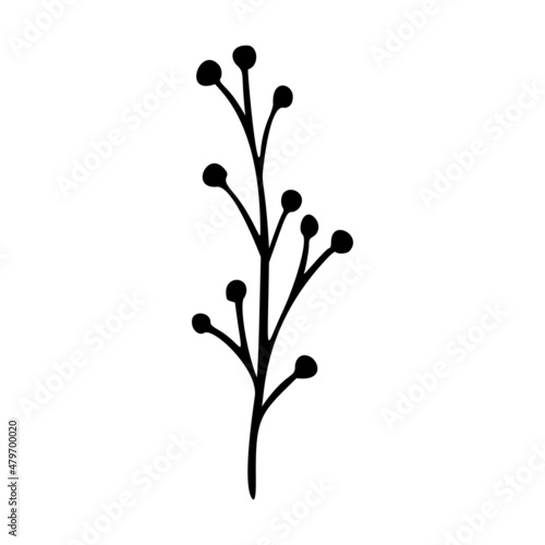 Wildflower outline hand drawn element. Herbs doodle botanical icon. Herbal and meadow plant  grass. Rustic blossom element for logo  wedding  print. Vector illustration isolated on white background.