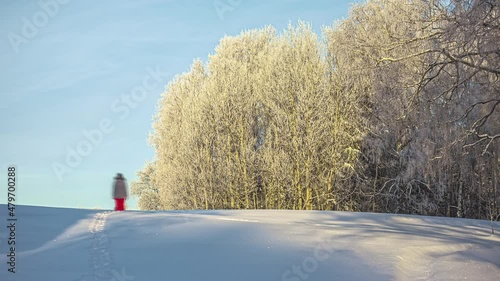 Time lapse shot of woman in winter clothes walking through snowy field into forest and comeback - Beautiful sunny day in December