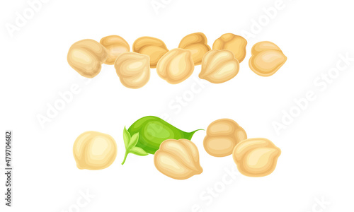Chickpea Beige Pile with Green Pod as Annual Legume Plant Vector Set