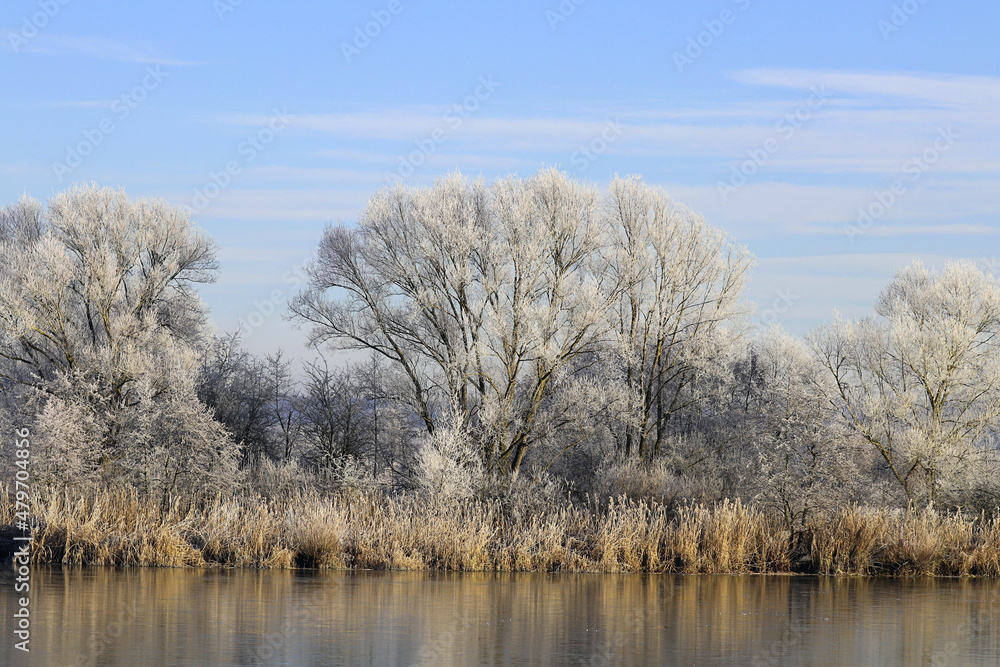 Hintergrund Winter an einem See in Bayern