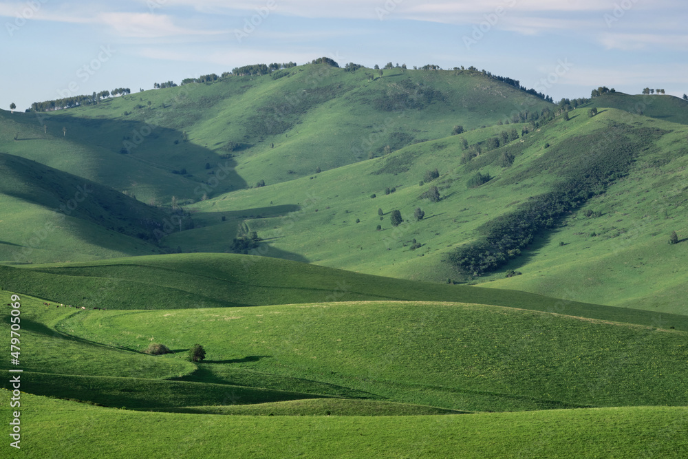 Green hills of Altai, mountain pastures.