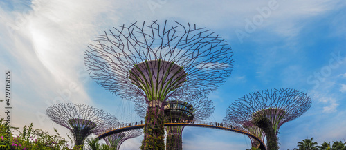 Canopy of Supertrees at Gardens By The Bay, Singapore