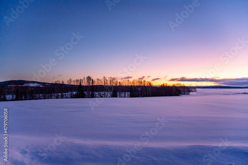 beautiful Swedish sunrise over the snow