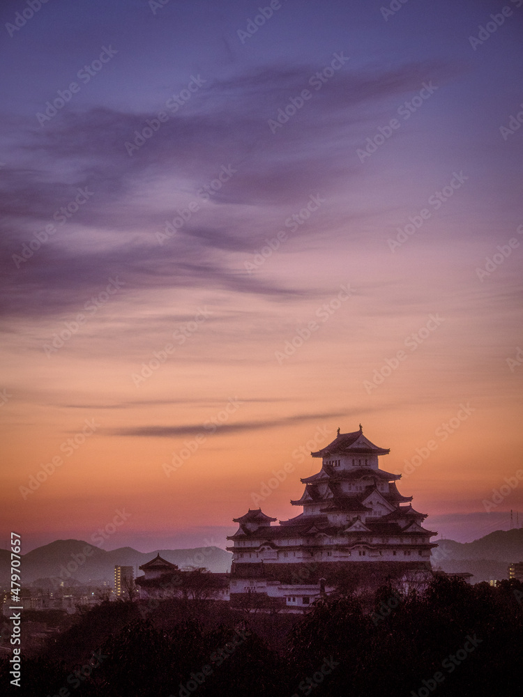 夜明け前の国宝姫路城