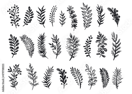 Branches collection hand drawn, vector. 