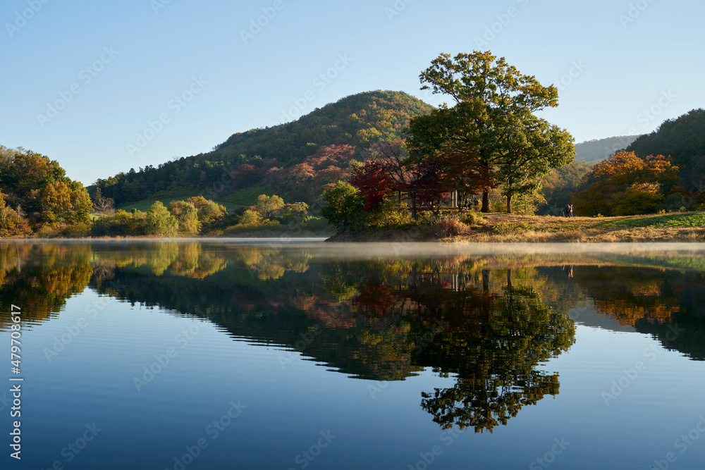 Beautiful reflections in a lake in autumn. 용유지, 용비지, 가을, 호수, 반영