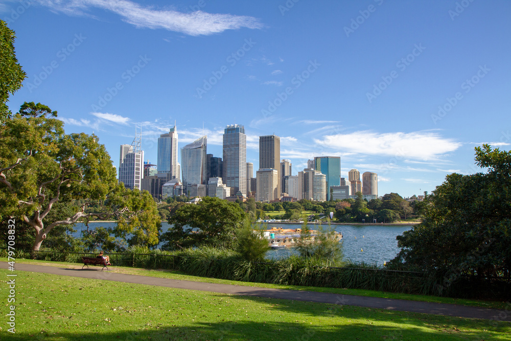 Sydney Skyline view from the Mrs Macquaries Road. 시드니, 스카이라인, 빌딩, 도시풍경