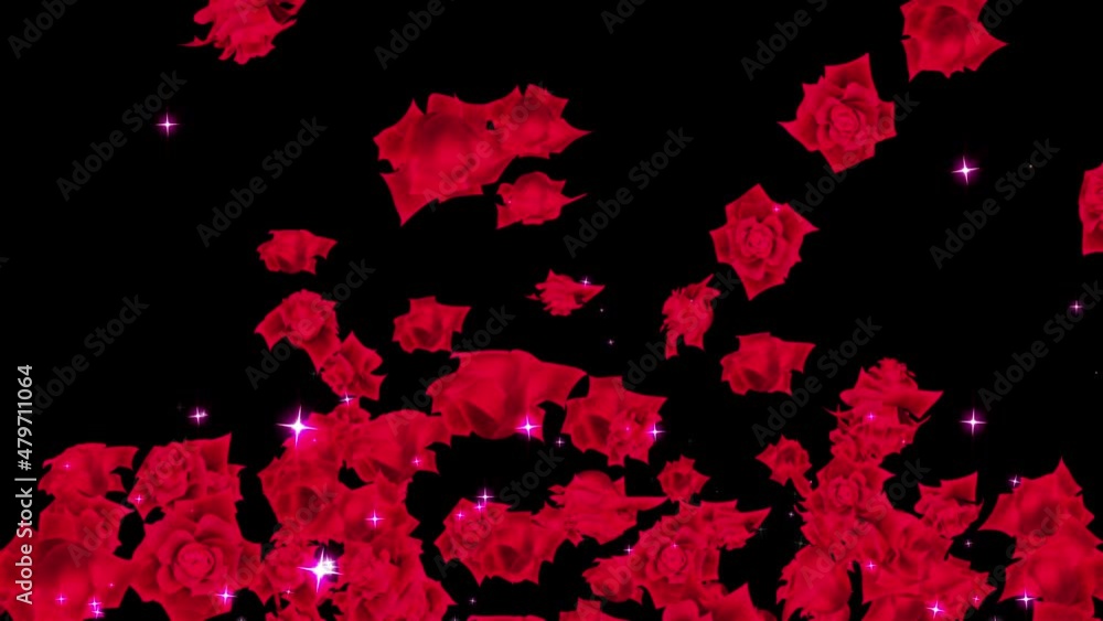 red rose particle loop animation red rose particle loop animation