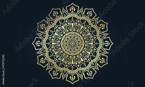 Luxury ornamental mandala design background vector design template