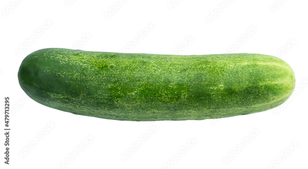 One fresh green cucumber isolated One fresh green cucumber isolated