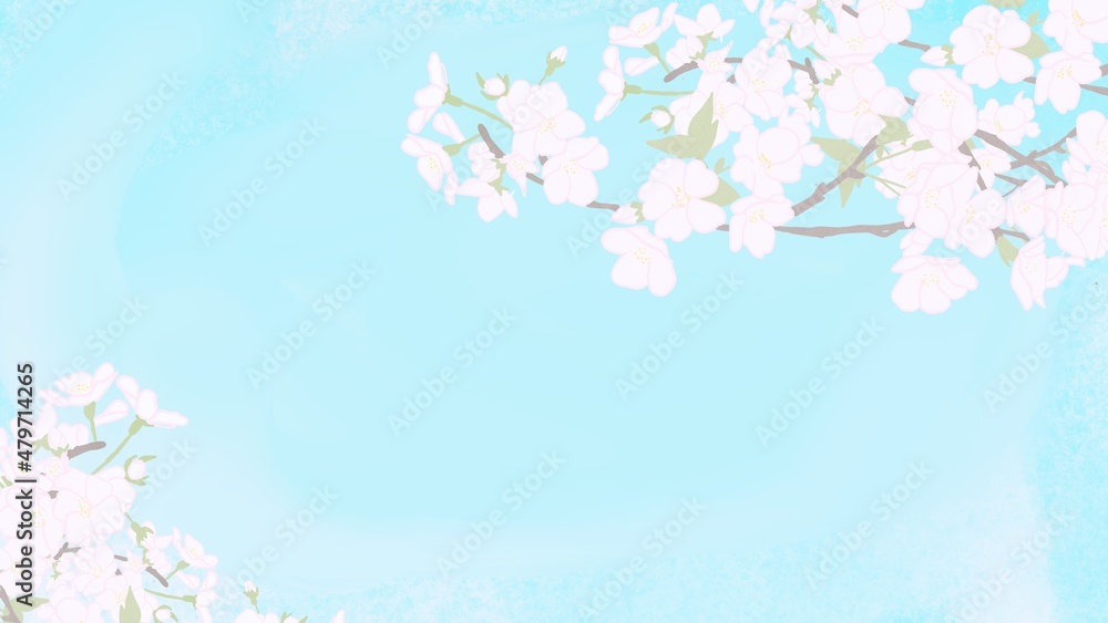 background with cherry blossom background with cherry blossom