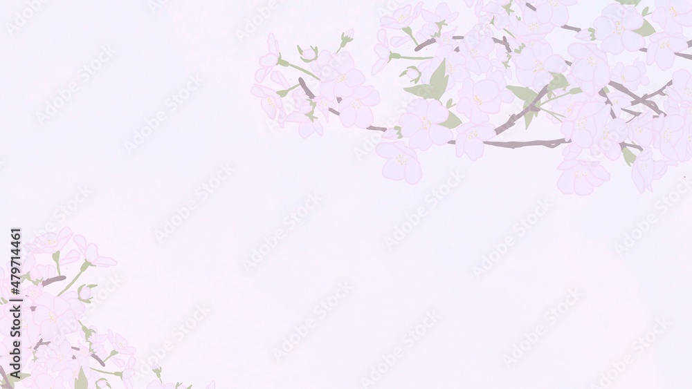 background with cherry blossom background with cherry blossom