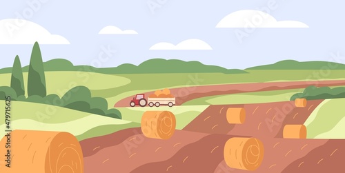 Farm field with hay bales. Dry wheat grass rolls in agriculture grassland. Haystacks and tractor in countryside. Country landscape, panoramic view. Rural scenery panorama. Flat vector illustration