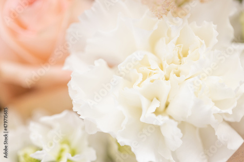 Close up of white carnation in bouquet.