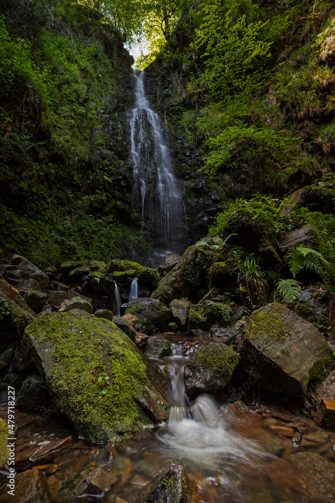 Fototapeta premium Cascada de Belaustegui