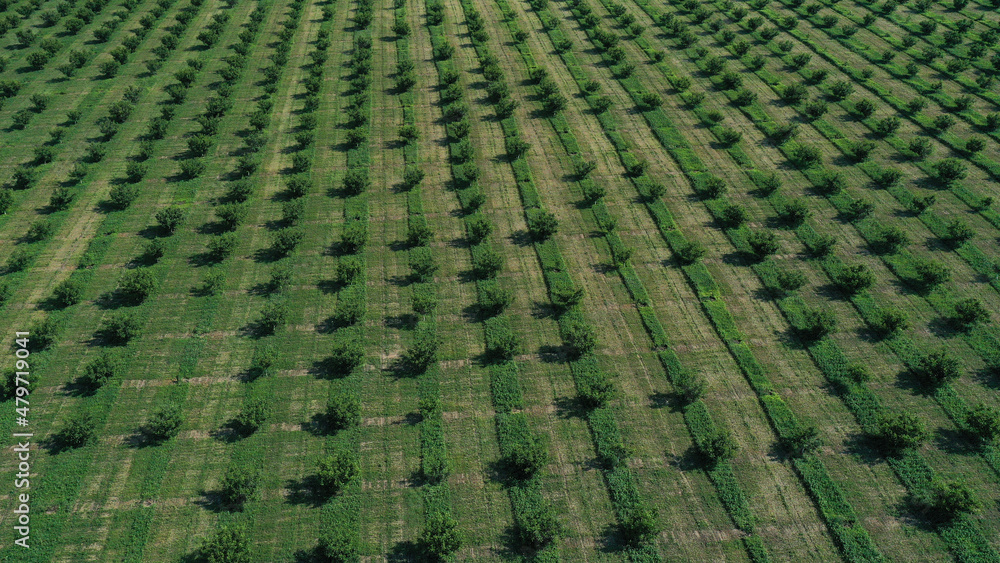 aerial view over agricultural gardens in spring time aerial view over agricultural gardens in spring time