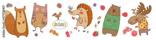 Collection of forest animals, and berries. Colorful vector illustration in flat style.