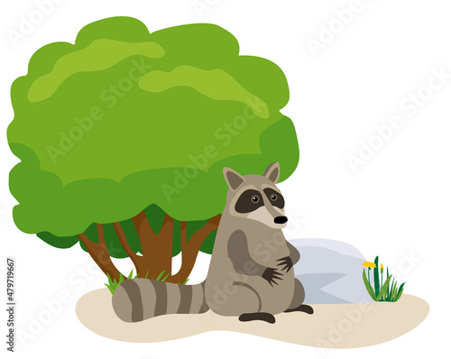 Cute raccoon next to the tree. North American raccoon, native mammal. flat vector illustration. Isolated on white background. Forest inhabitant. Wild animal.