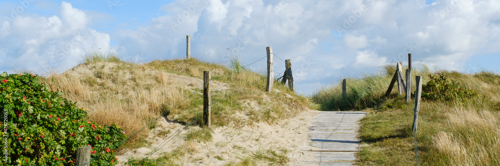 Fototapeta premium Dünenlandschaft an der Nordseeküste, Insel Wangerooge, Ostfriesland, Niedersachsen, Deutschland, Europa