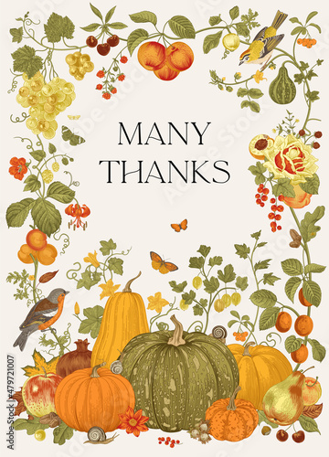Many Thanks. Harvest. Greeting card for Thanksgiving Day. Autumn botanical illustration.