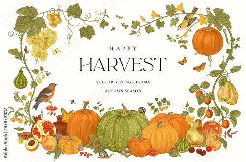 Happy Harvest. Vector frame. Autumn botanical illustration. photo