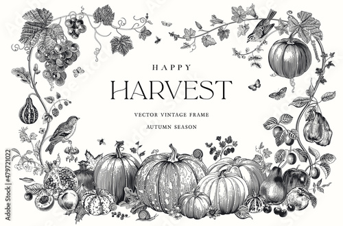 Happy Harvest. Vector frame. Autumn botanical illustration. Black and white
