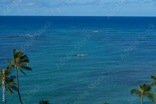 beach with palm trees