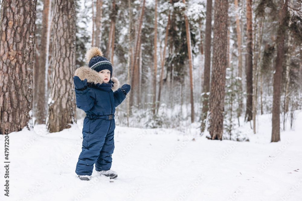 Child walking in snowy spruce forest. Little kid boy having fun outdoors in winter nature. Christmas holiday. Cute happy toddler boy in blue overalls and knitted scarf and cap playing in park.