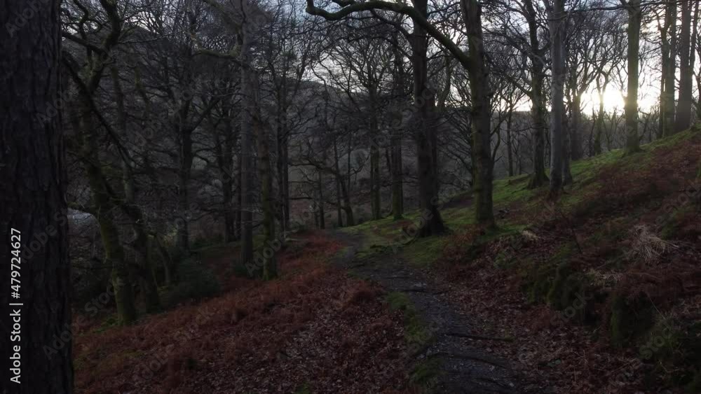 A walk through the woodland of Wales in the winter. Shot on DJI. A walk through the woodland of Wales in the winter. Shot on DJI.