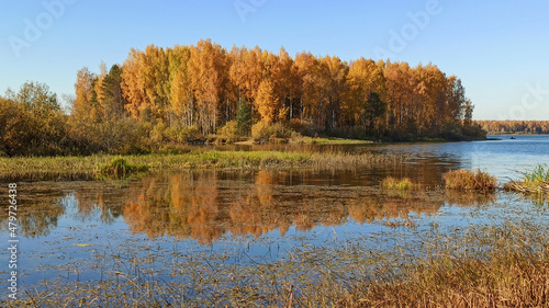 Golden autumn. The shore of the forest lake