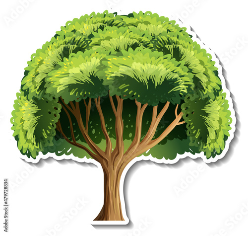 Tree sticker on white background