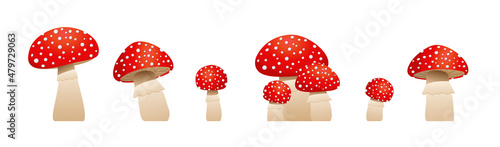 Big collection mushrooms fly agaric. Inedible mushrooms. Vector illustration