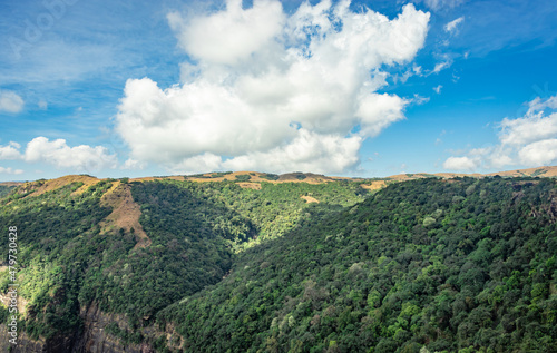 mountain covered with green forests and bright blue sky at day