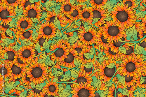Background illustration of colorful yellow and orange sunflowers.