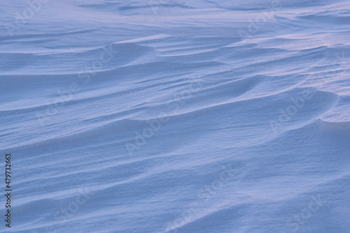 Snowy field close up. Snow in the wind. Snow background. Nature concept.