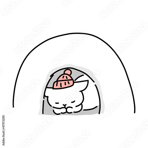 かまくらの中で眠る猫　寒中見舞い素材