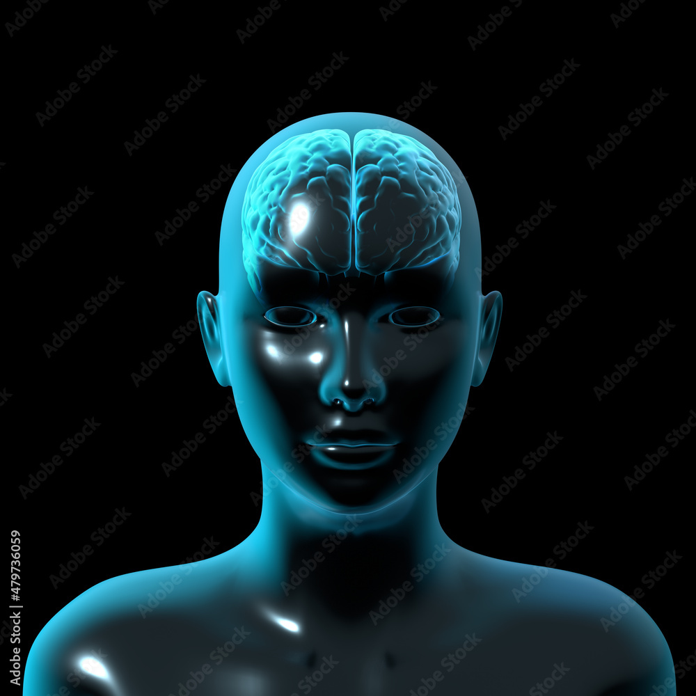 human brain anatomy, medical 3d human brain anatomy, medical 3d