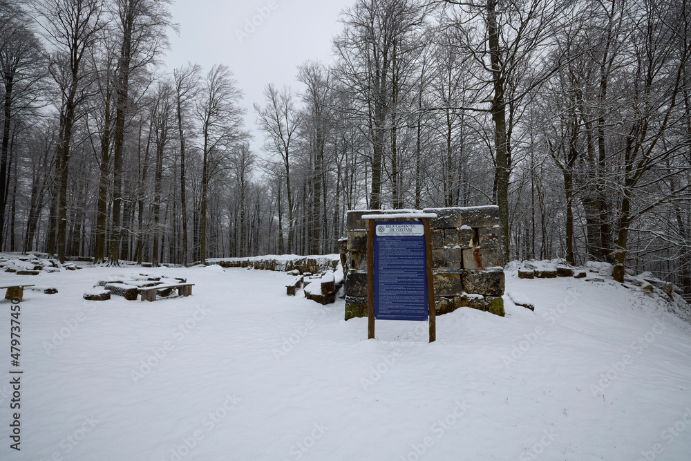 Sarmizegetusa Regia (royal residence) was the capital and the most important military, religious and political center of the Dacian state before the wars with the Roman Empire.Winter Sarmizegetusa Regia (royal residence) was the capital and the most important military, religious and political center of the Dacian state before the wars with the Roman Empire.Winter