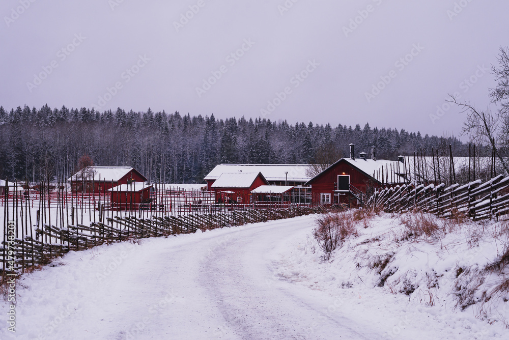 Beautiful, cozy winter landscape with red cottages (Tyresta National Park, Sweden)