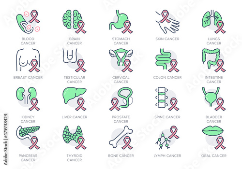 Cancer types line icons. Vector illustration include icon - breast, stomach, respiratory, pancreas, kidney, testicles, uterine outline pictogram for oncology. Red and Green color, Editable Stroke
