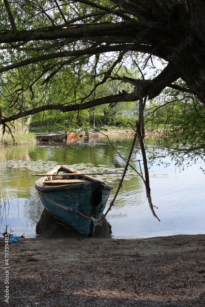 The boat is tied with a rope to a branch, stands under the crown of a tree, around a lake with beautiful green water.