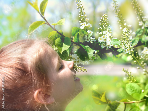 Little girl smelling blooming tree. Happy child enjoying nature outdoors. A  child in the garden sniffs flower of bird cherry photo