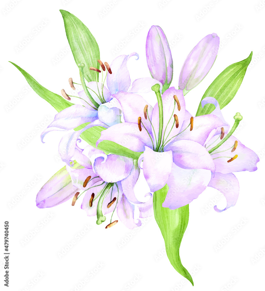 Bouquet white lilies, pink lilies, flowers and buds watercolor flower arrangement Bouquet white lilies, pink lilies, flowers and buds watercolor flower arrangement